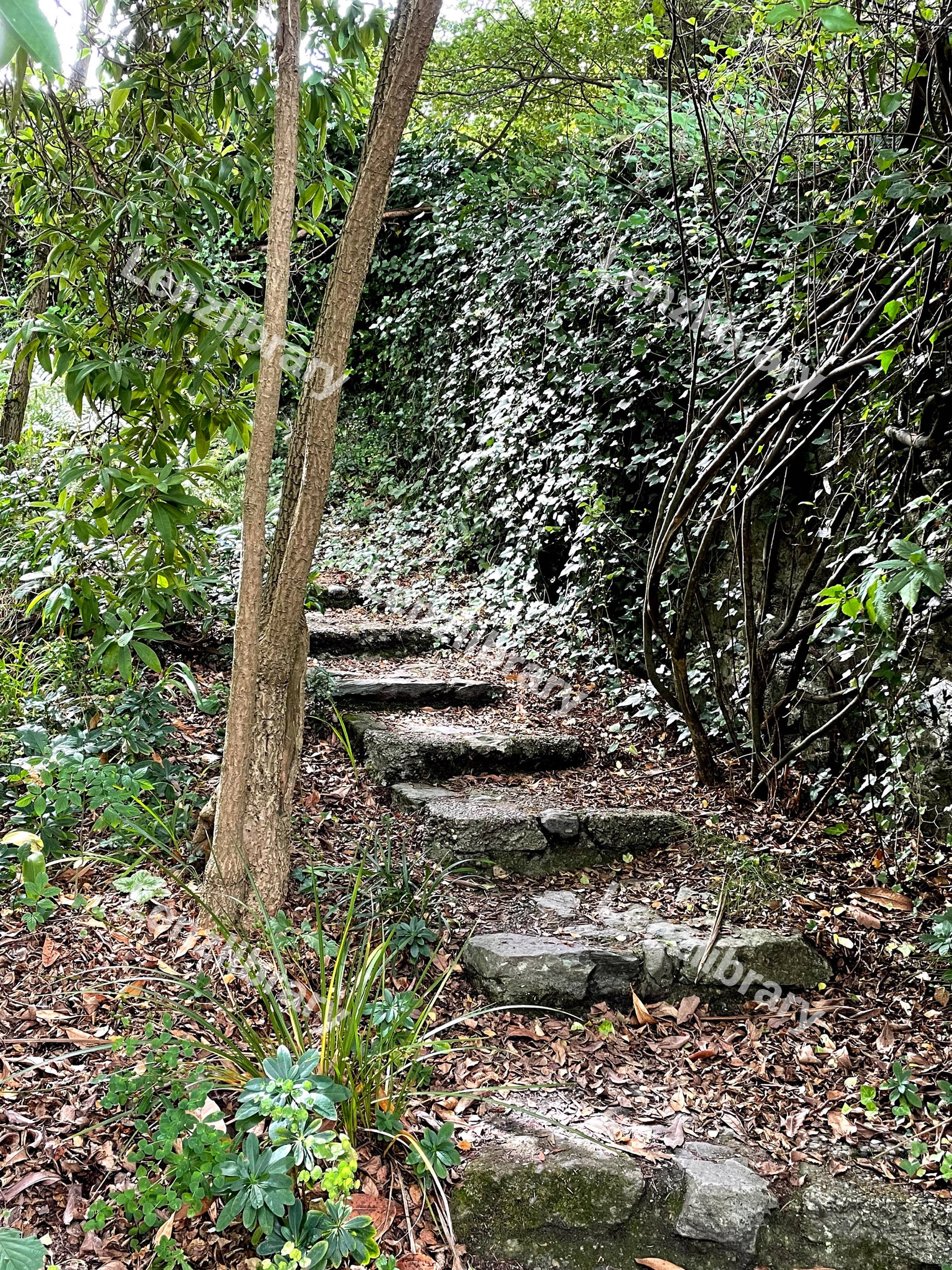 Outside Stone Steps